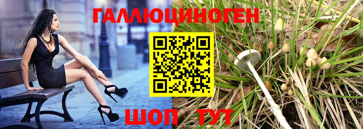 Армавир  Галлюциногенные грибы Psilocybe  Вход с VPN 
