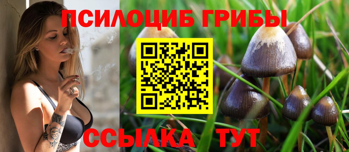 Псилоцибиновые грибы ЛСД Армавир